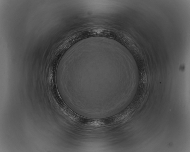 X0000088890754200707061432