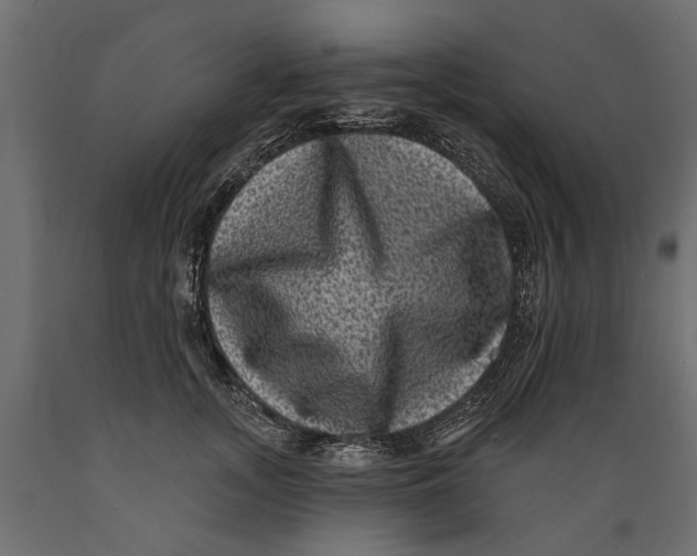 X0000088890755200707061432