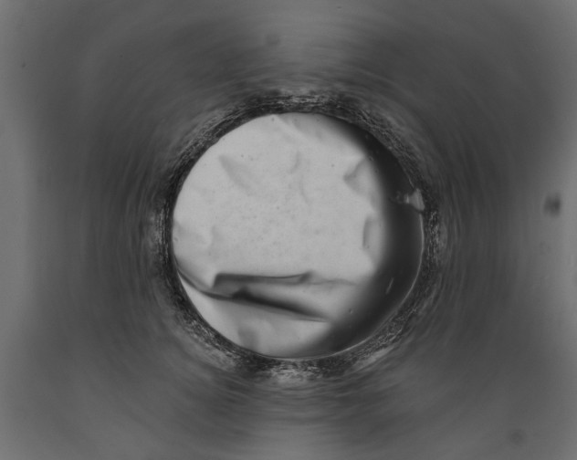 X0000088890756200707061432