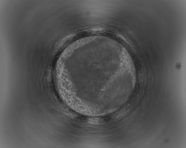 X0000088890757200707061432