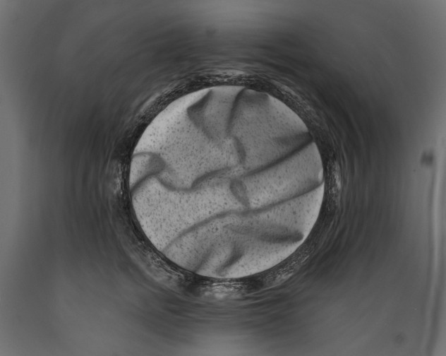 X0000088890758200707061432