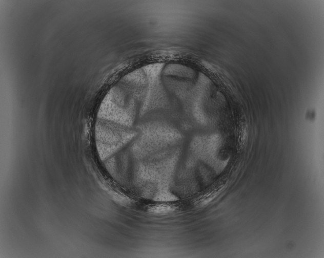 X0000088890759200707061432