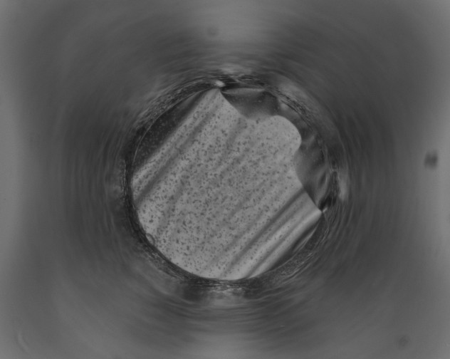 X0000088890760200707061432