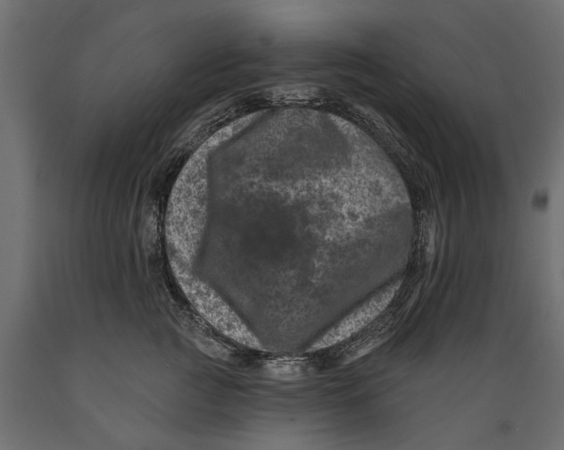 X0000088890761200707061432