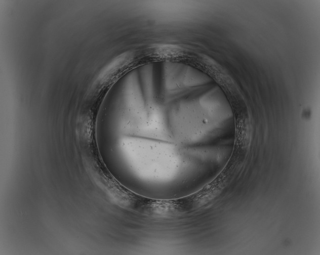 X0000088890762200707061432