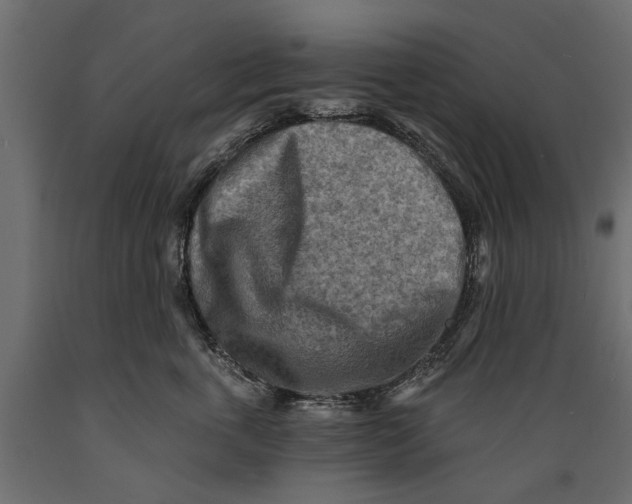 X0000088890763200707061432