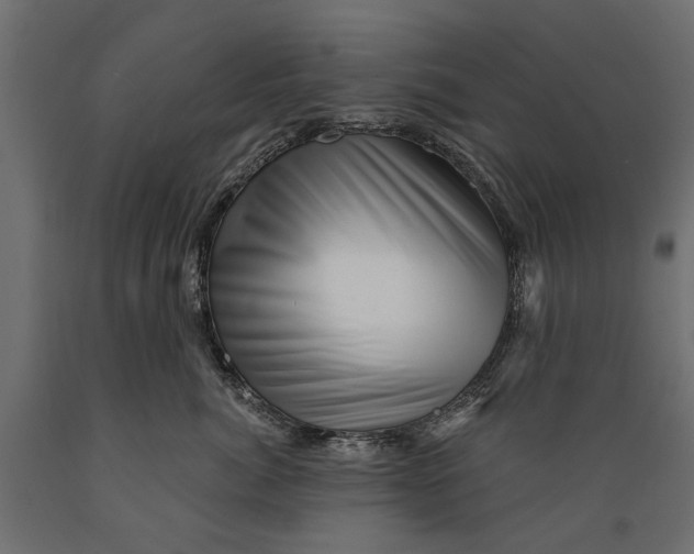 X0000088890764200707061432