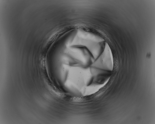X0000088890766200707061432