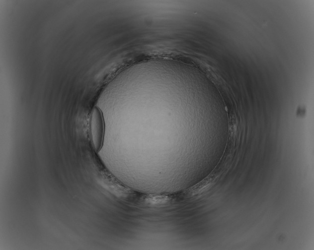X0000088890767200707061432