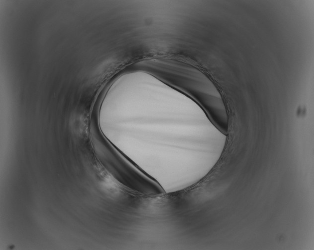 X0000088890768200707061432