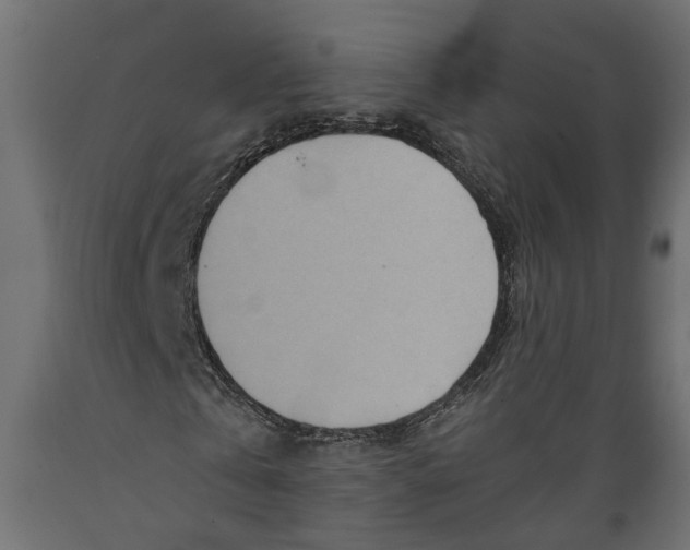 X0000088890769200707061431