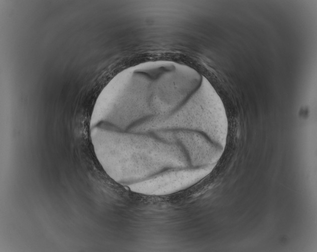 X0000088890770200707061431