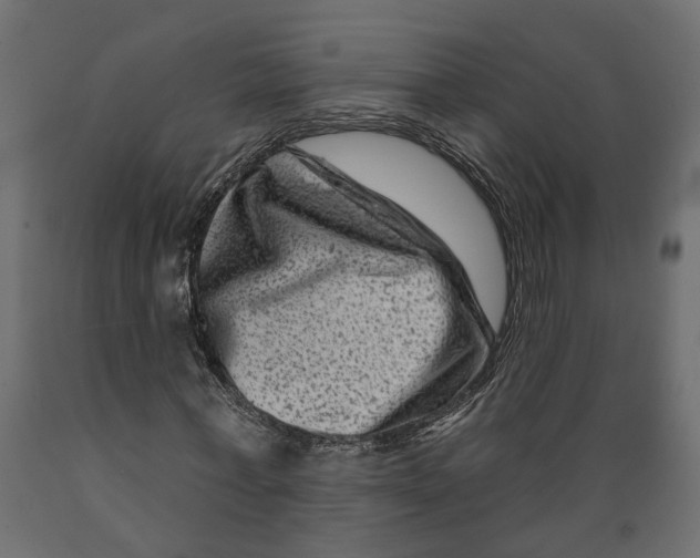 X0000088890771200707061431