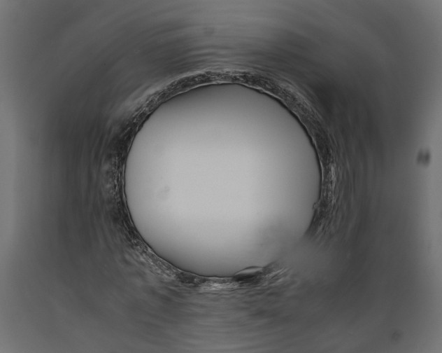 X0000088890773200707061431