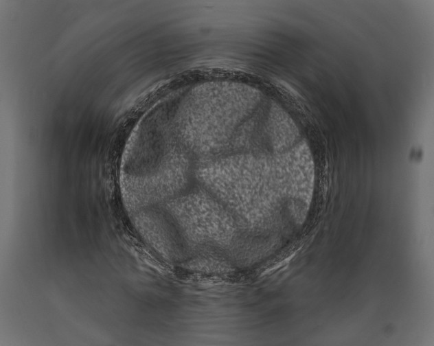 X0000088890774200707061431