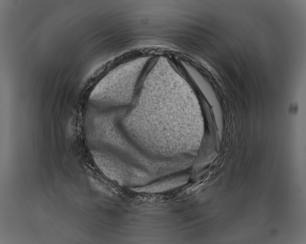 X0000088890775200707061431