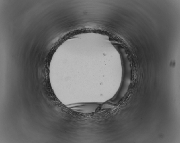 X0000088890776200707061431