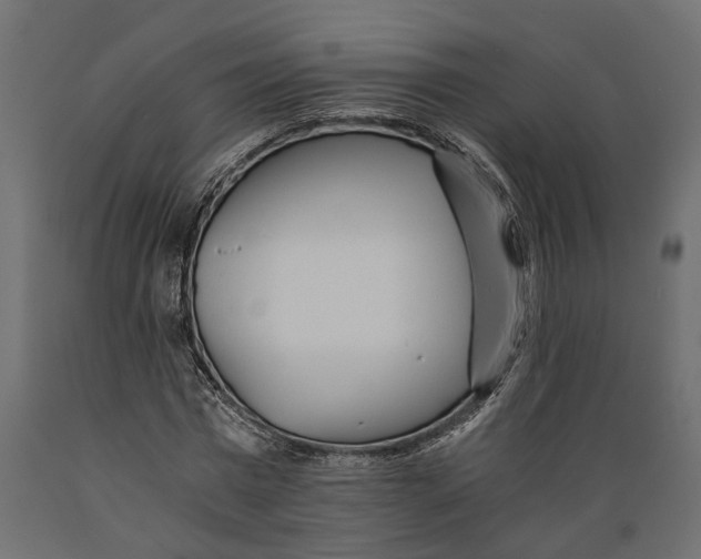 X0000088890777200707061431