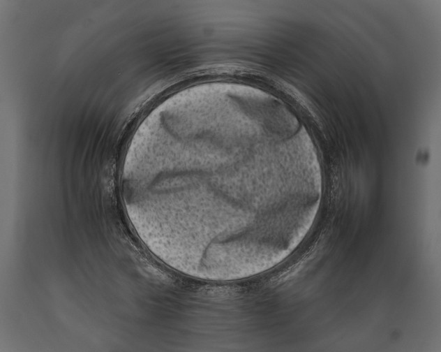 X0000088890778200707061431