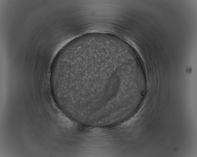X0000088890779200707061431