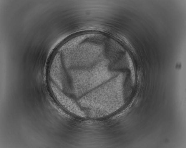 X0000088890780200707061431