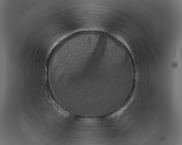X0000088890781200707061431