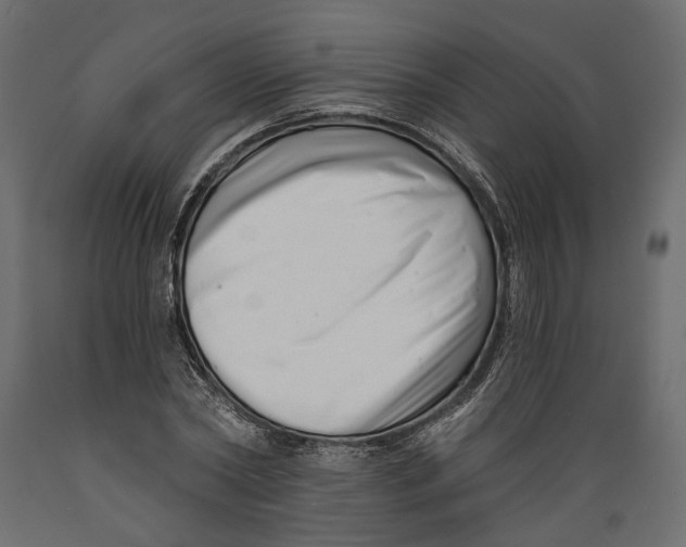 X0000088890782200707061431