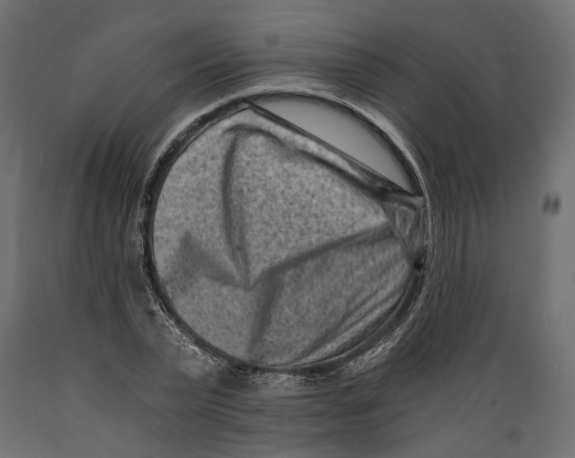 X0000088890783200707061431