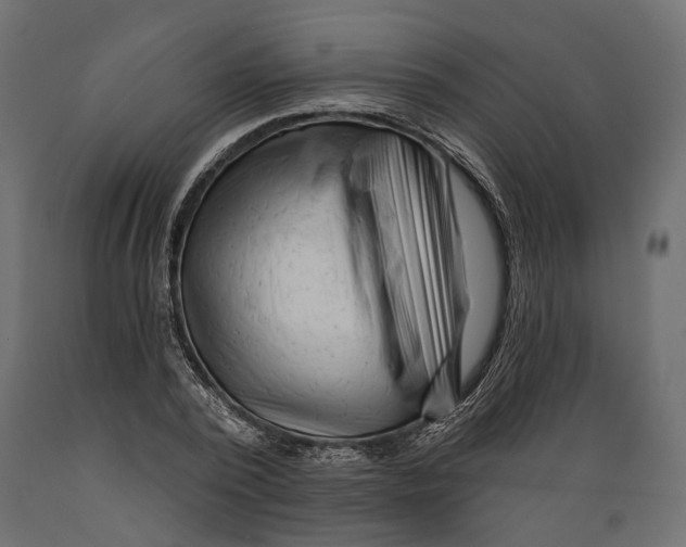 X0000088890784200707061431