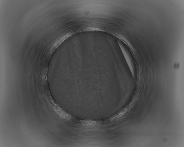 X0000088890785200707061431