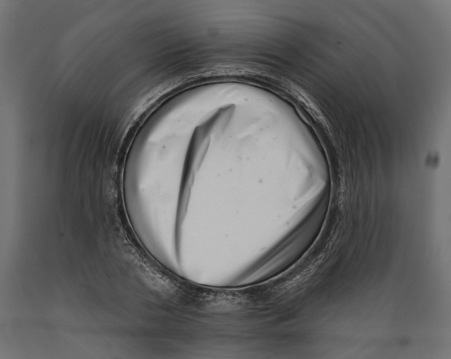 X0000088890786200707061431
