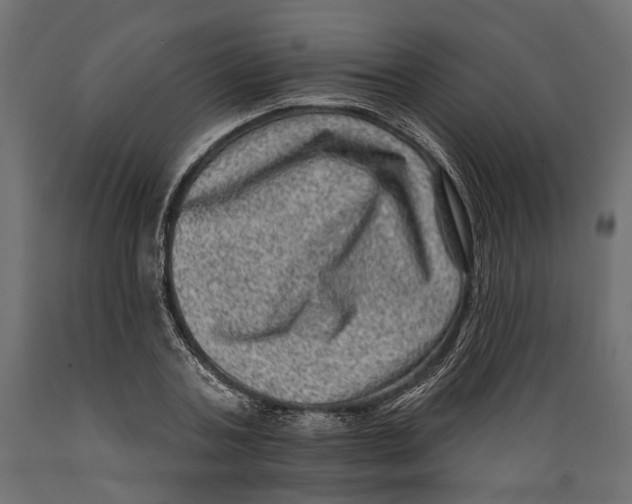 X0000088890787200707061431