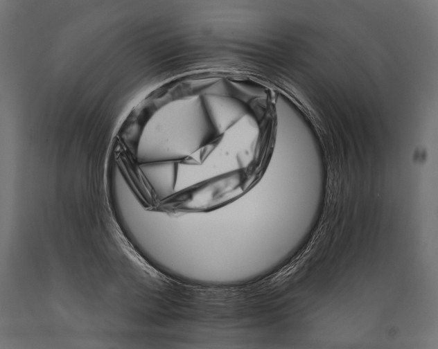 X0000088890788200707061431