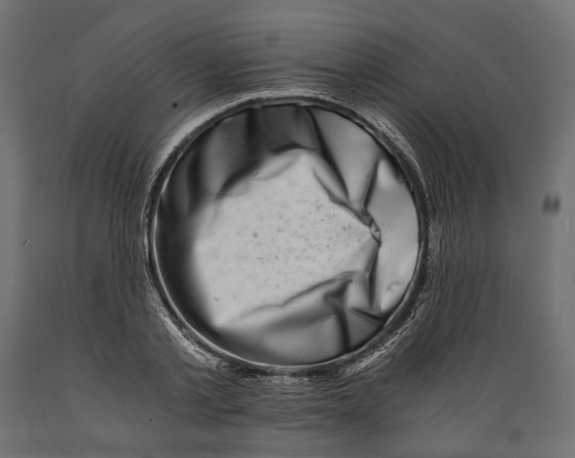 X0000088890789200707061431
