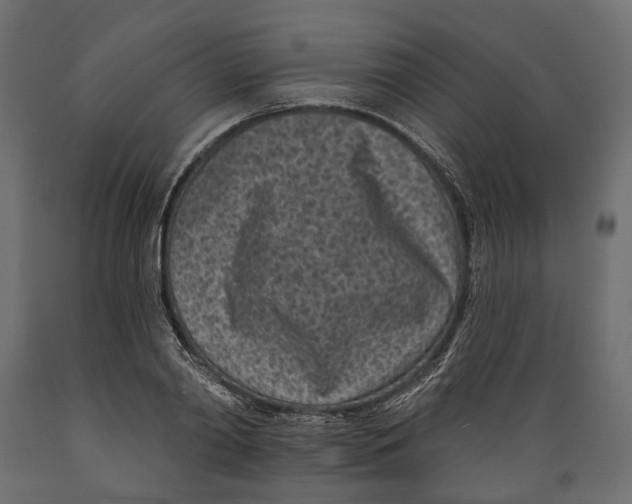 X0000088890790200707061431