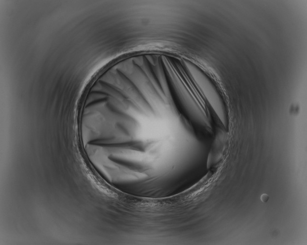 X0000088890792200707061431