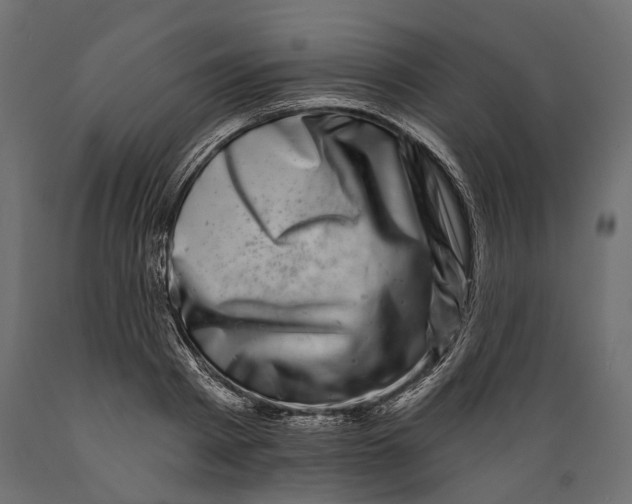 X0000088890793200707061431