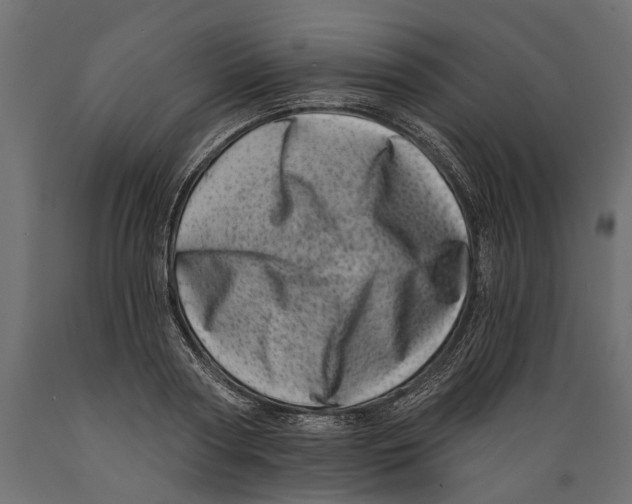 X0000088890794200707061431
