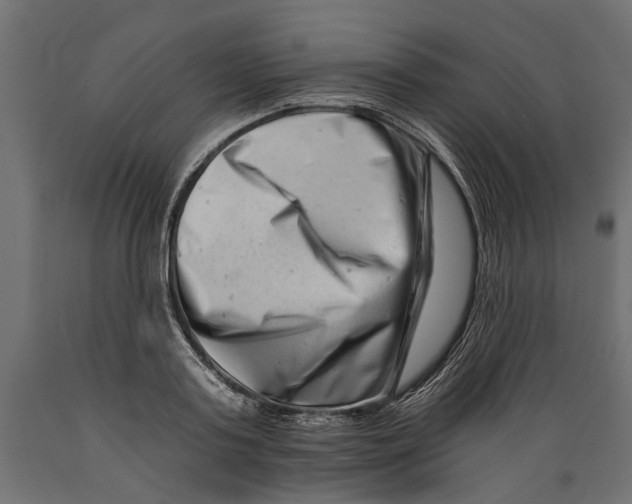 X0000088890795200707061431