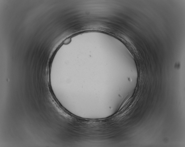 X0000088890796200707061431