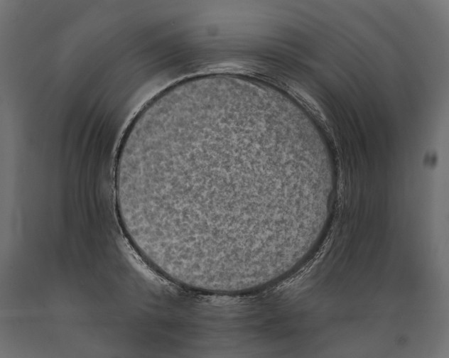 X0000088890800200707061431