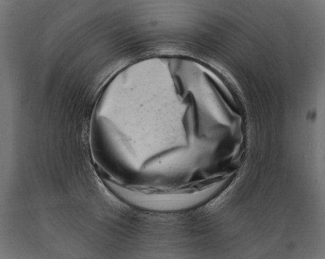 X0000088890801200707061431