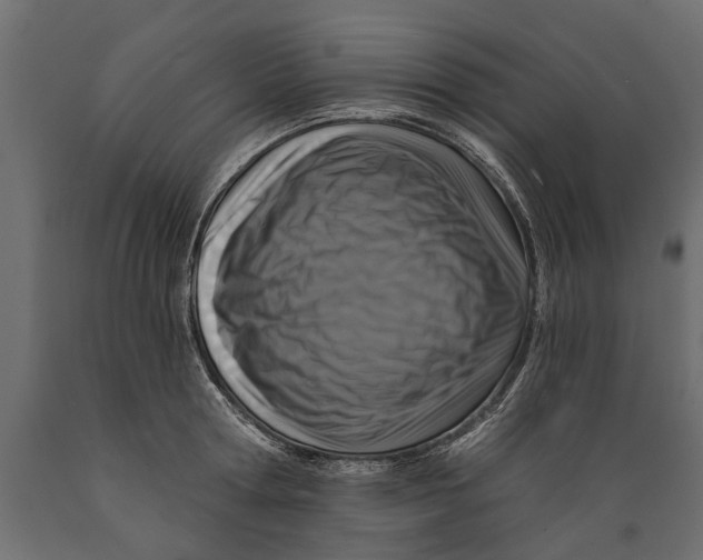 X0000088890802200707061431