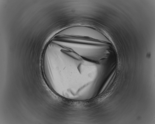 X0000088890803200707061431