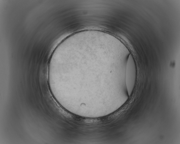 X0000088890804200707061431