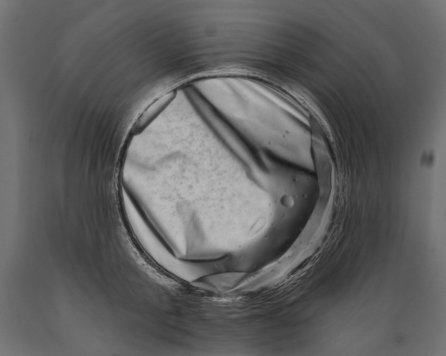 X0000088890805200707061431