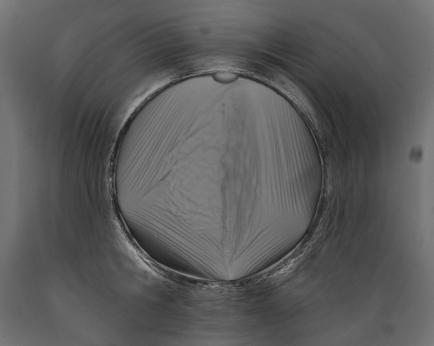 X0000088890806200707061431