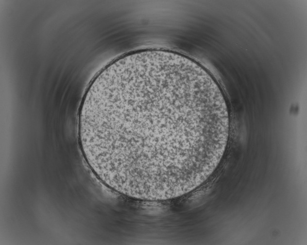 X0000088890807200707061431