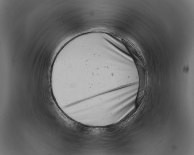 X0000088890808200707061431