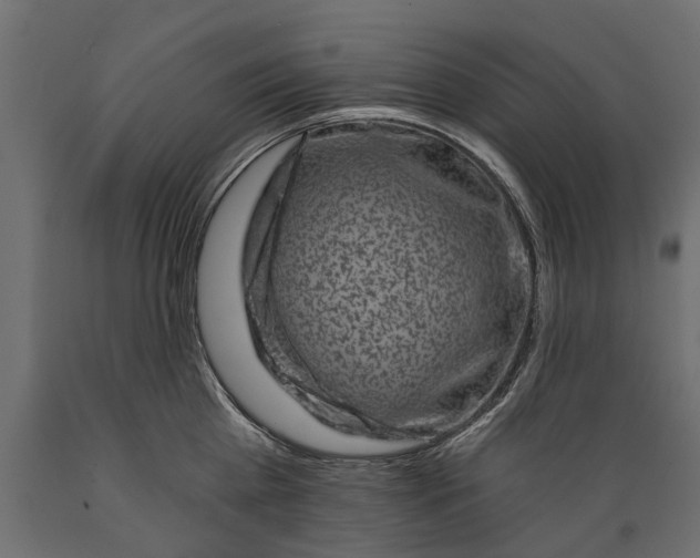 X0000088890809200707061431